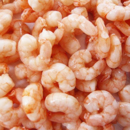 Crevettes de Gaspésie (env. 450 gr.)